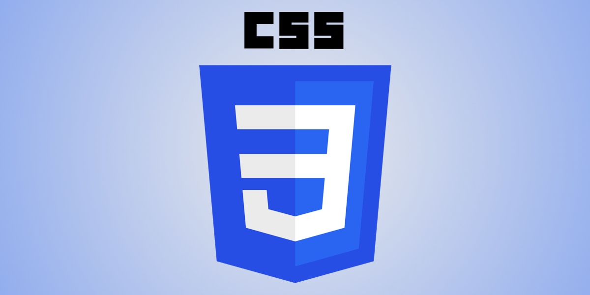 css3 logo